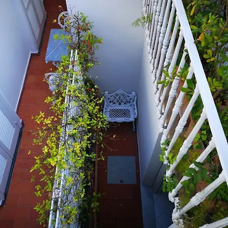 Guest house Muta House 3*