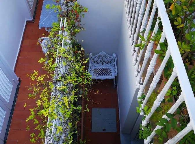 Πανσιόν Muta House 3*