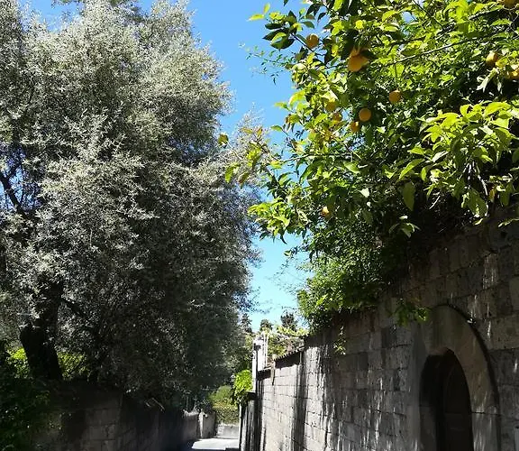 Πανσιόν Muta House 3*