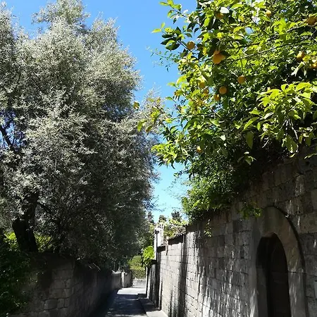 Vendégház Muta House 3*