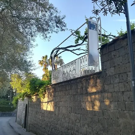 Muta House Pensjonat 3*