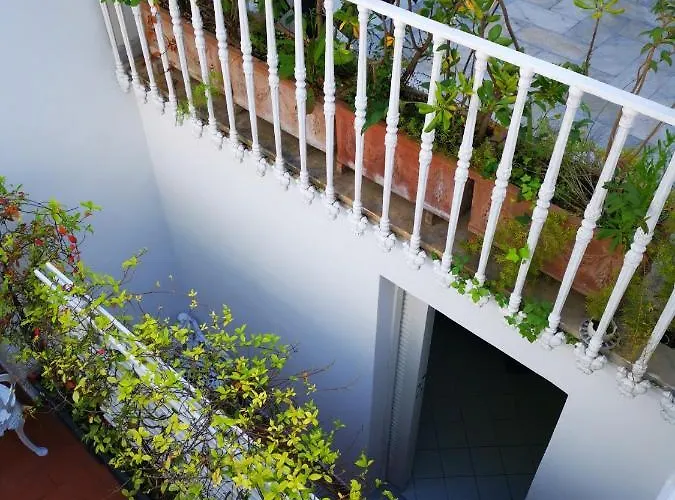 Pensjonat Muta House